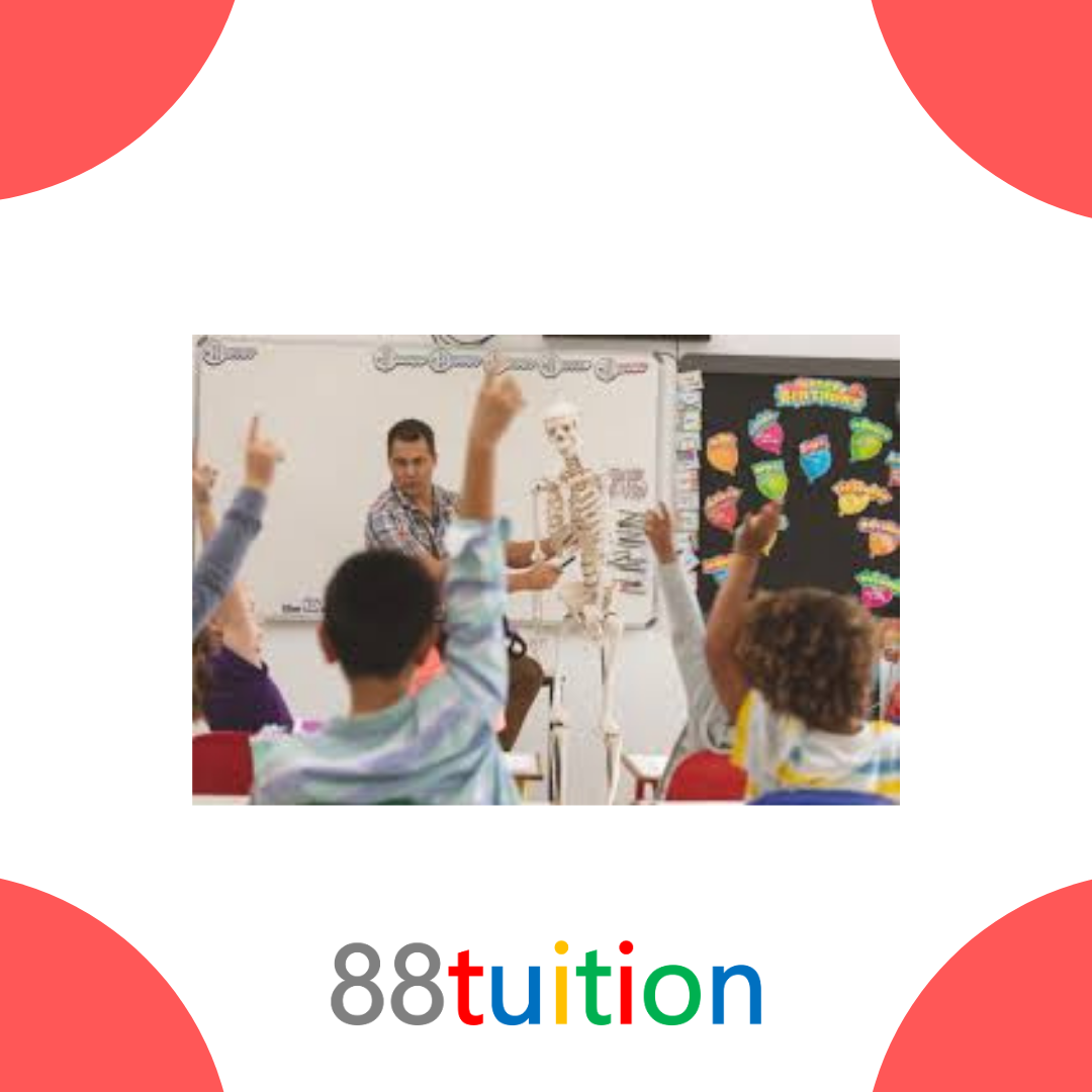 Importance of science in primary school education
